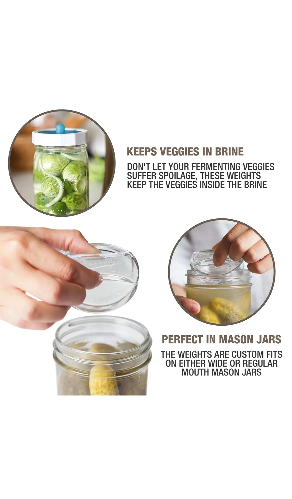 Fermentation Weights Set